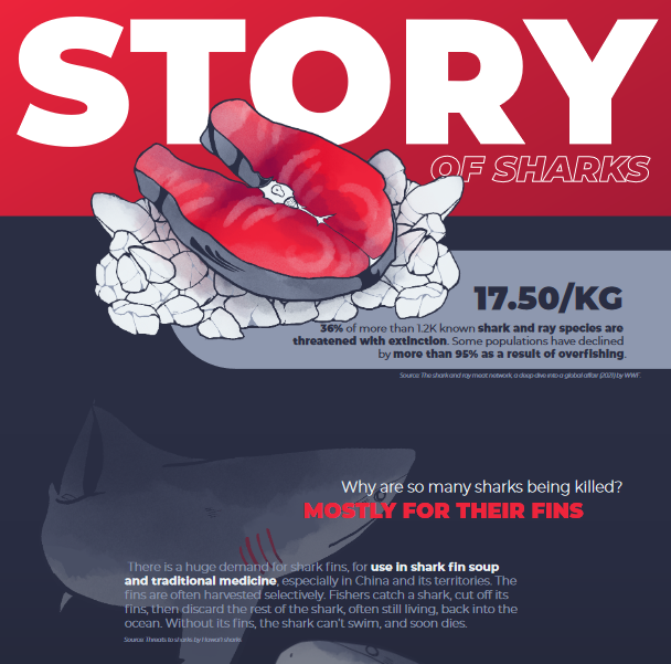Story of sharks: design poster